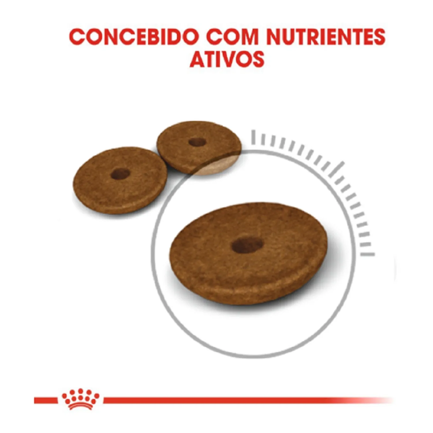 Ração Royal Canin Cuidado Digestivo para Gatos Adultos